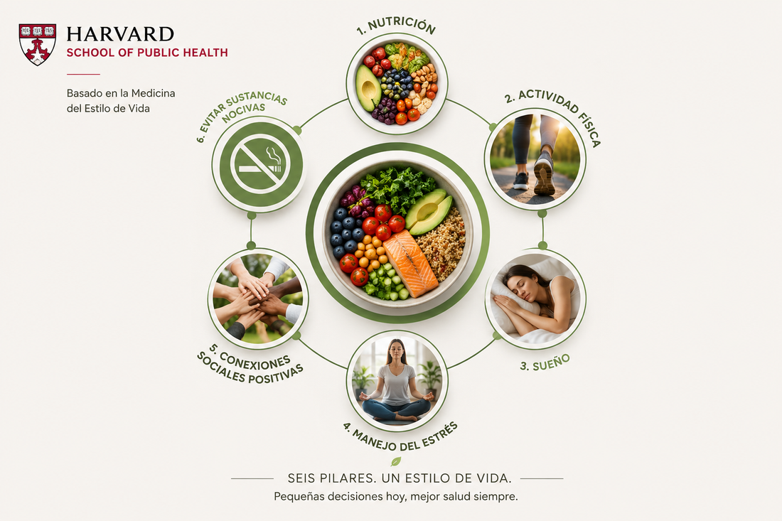 La nutrición: el pilar que conecta todo tu estilo de vida
